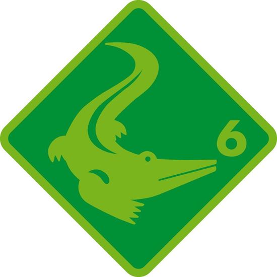 Bild von Kinderschwimmen Krokodil